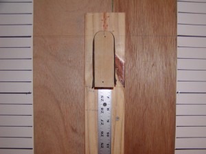 bow pivot and ruler